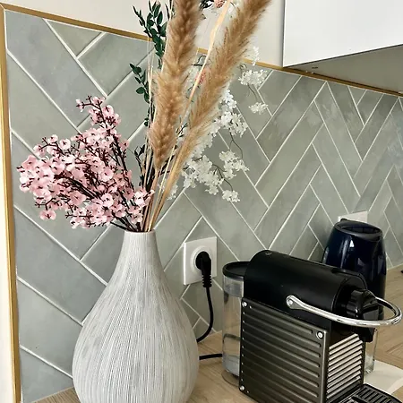 Elegant Minimaliste Entre Paris Et Apartment
